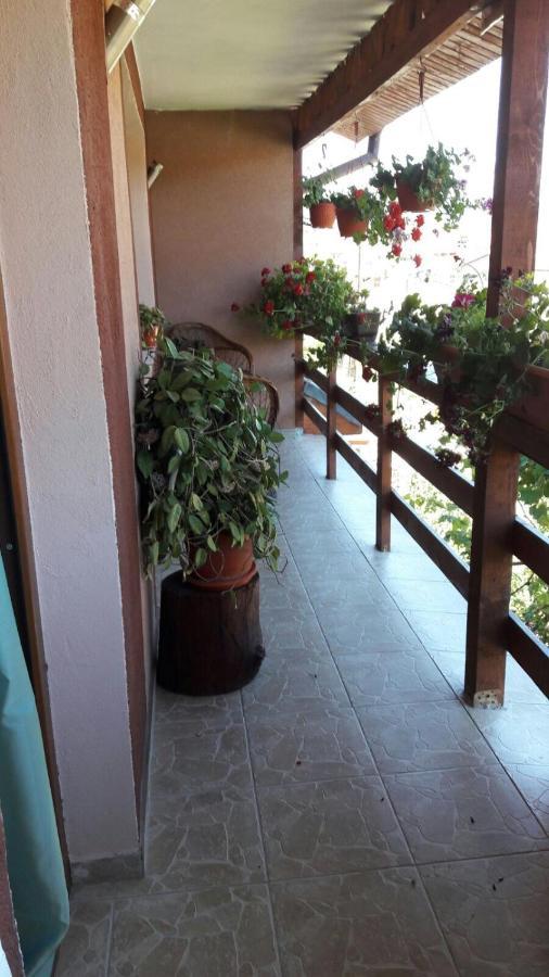 Hotel Casa Elena Ieşelniţa Exterior foto