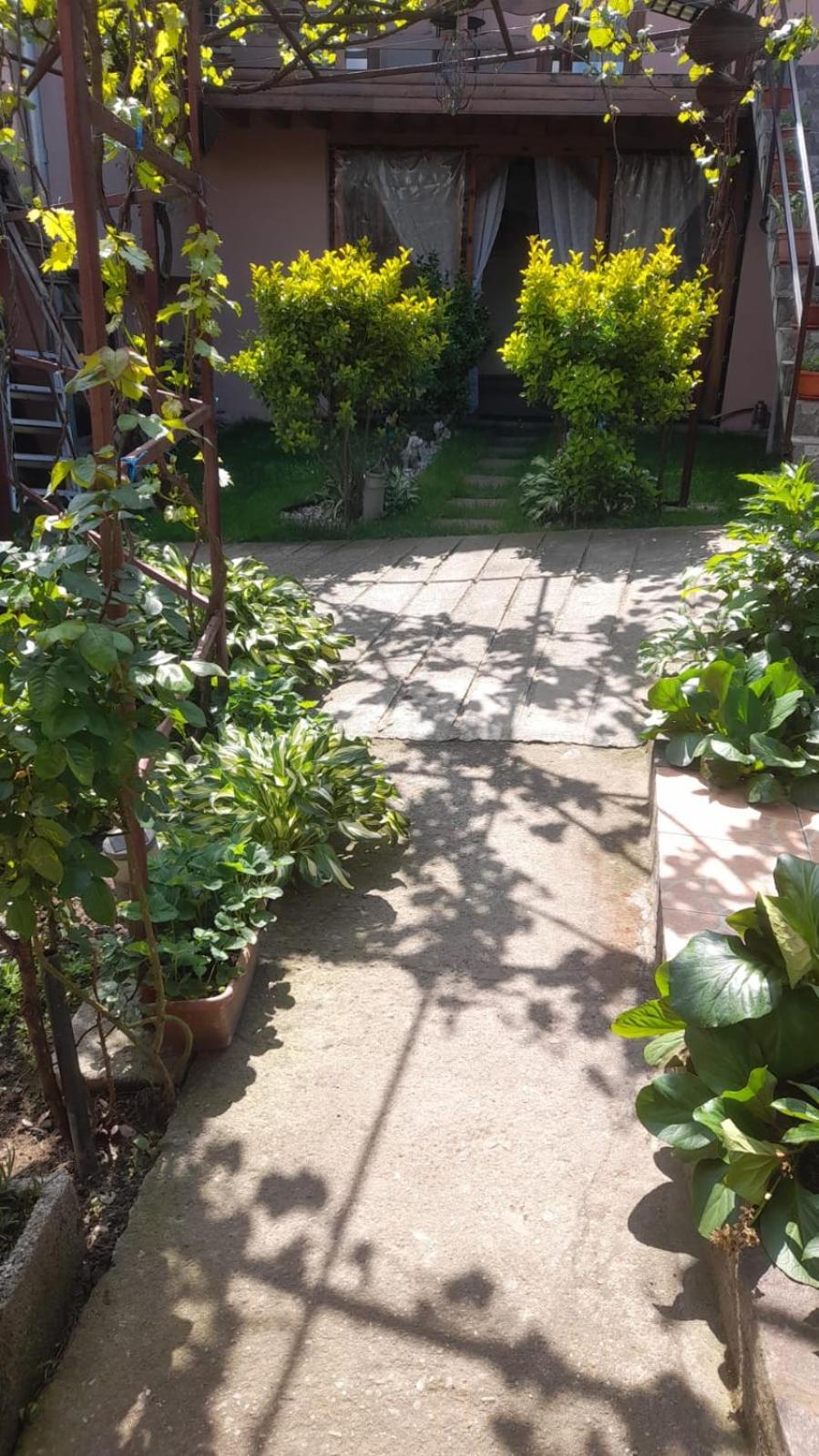 Hotel Casa Elena Ieşelniţa Exterior foto